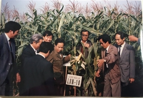 GS.TSKH Trần Hồng Uy - cây đại thụ của ngành ngô Việt Nam